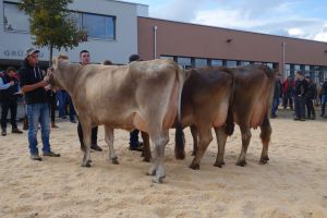 Schneuter mittlere  Anibal ADARA Fredy Zwyssig Bigstar BIONDA Beat Heini Blooming BASINA Toni Muff  